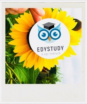 СКИДКА В РАЗМЕРЕ 10% НА ЗАКАЗ ОДНОГО ИЗ ПАКЕТОВ УСЛУГ EDYSTUDY BERLIN